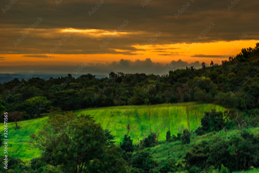 abstract background blur view of the sun shining through the clouds,surrounded by large mountains and various species of trees abstract background blur view of the sun shining through the clouds,surrounded by large mountains and various species of trees