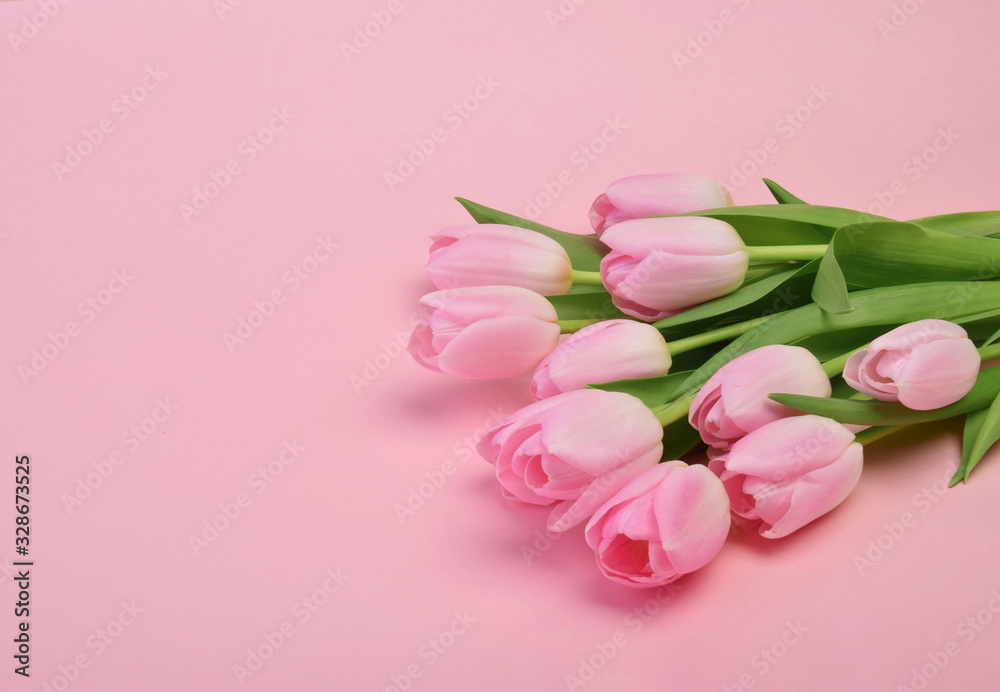 pink tulip flowers with copy space