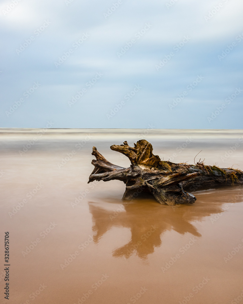 Great sea landscape with sandy beach and wooden trunk washed out of the sea. Baltic Sea, Latvia. Long exposure