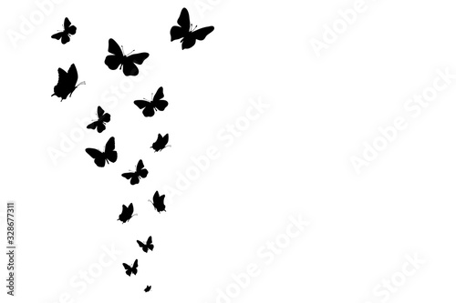 Vector silhouette of butterflies on white background. Symbol of nature and insect.