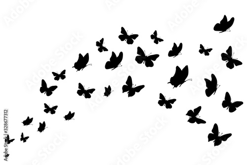 Vector silhouette of butterflies on white background. Symbol of nature and insect.