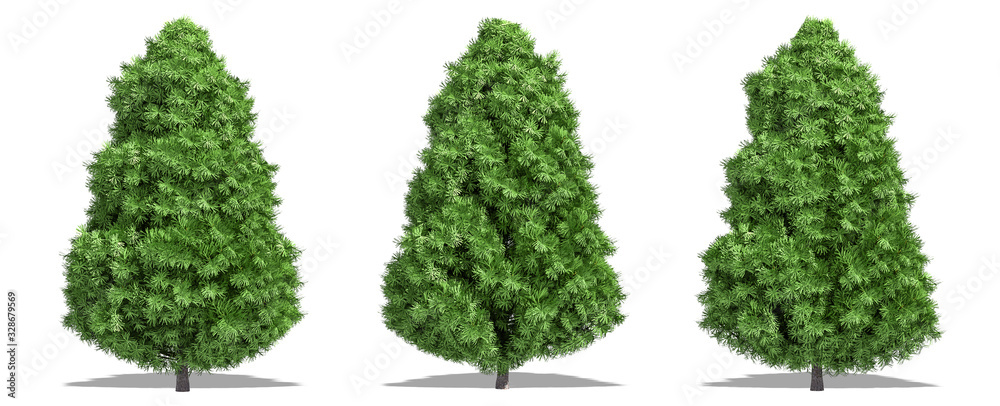 Beautiful tree isolated and cutting on a white background with clipping path.