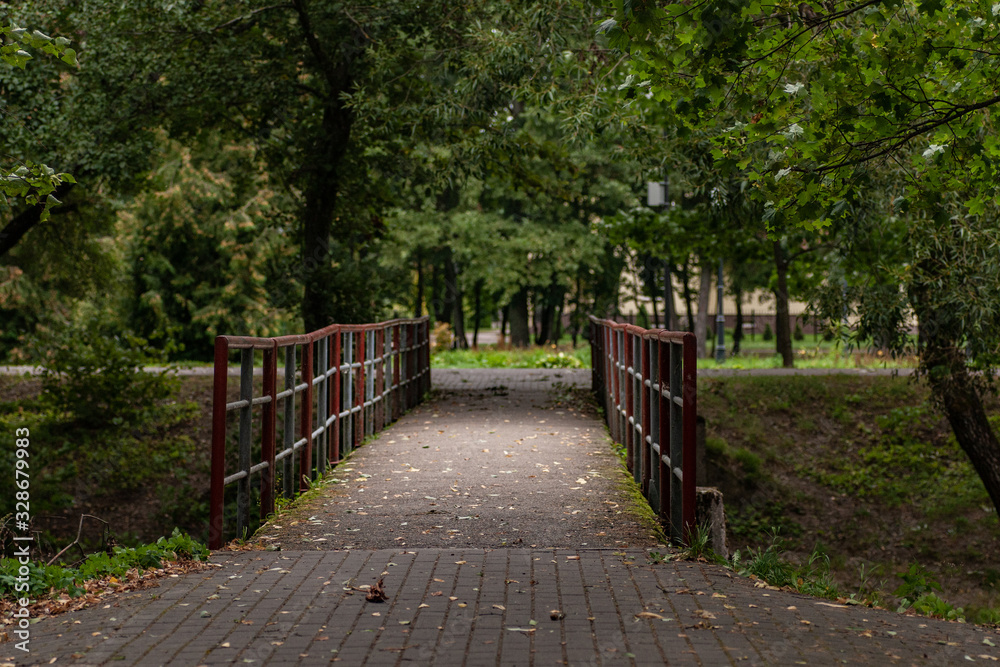 Bridge in the park