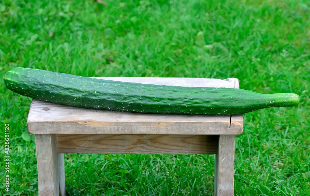 A long cucumber lies on a bench A long cucumber lies on a bench