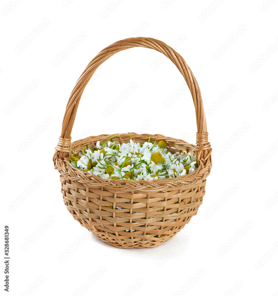 chamomile flowers in a basket