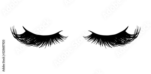 Slika na platnu Long black lashes vector illustration