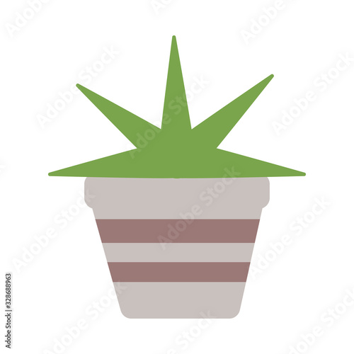houseplant with potted on white background