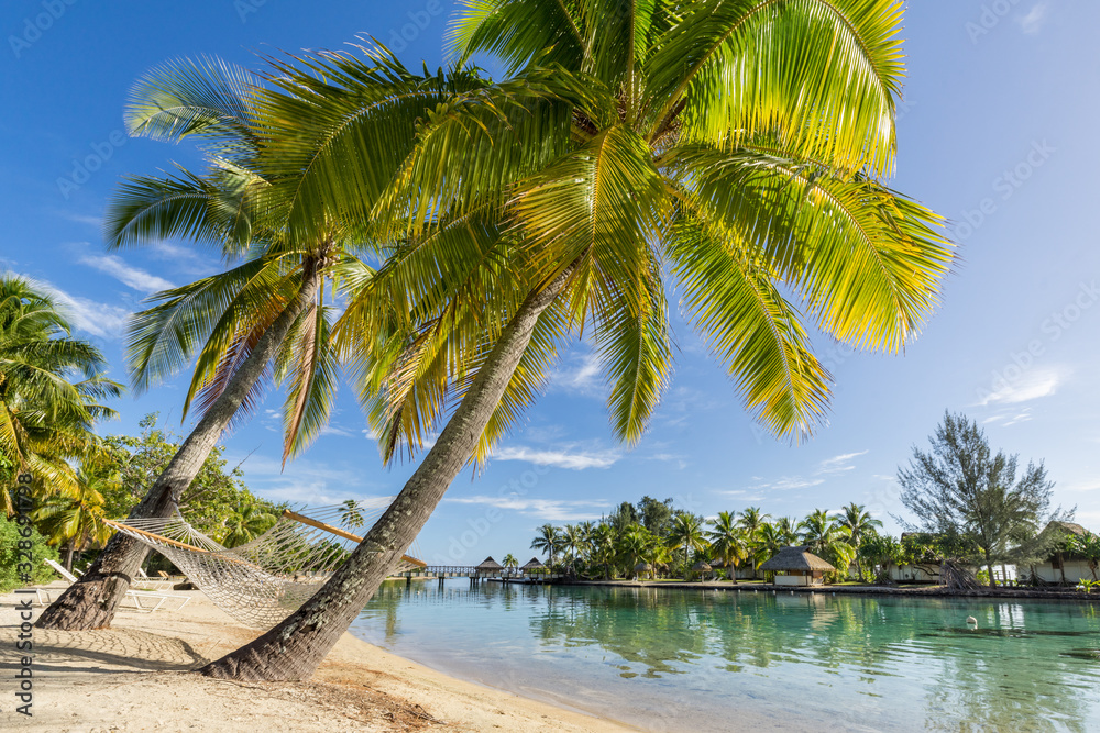 Obraz premium Tropical beach with palm trees in summer