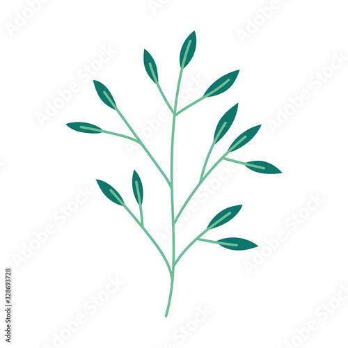 branch leaves foliage natural botanical icon