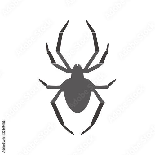 Spider vector icon illustration sign