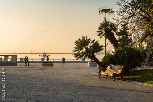 Seaside Park of the city of Baku Azerbaijan with decorative trees photo