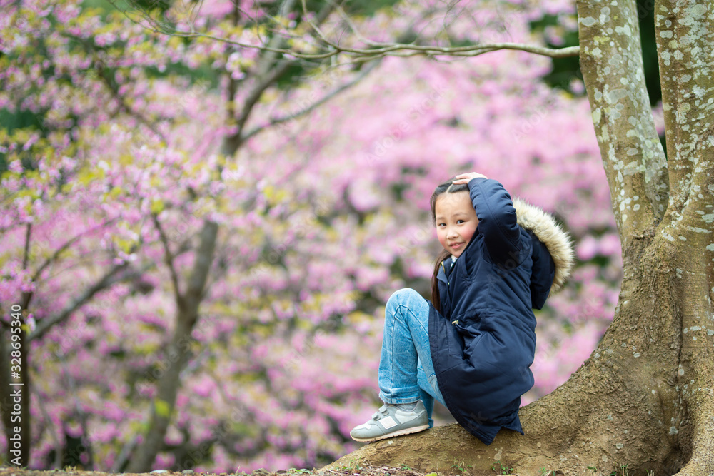 桜の花を見る少女
