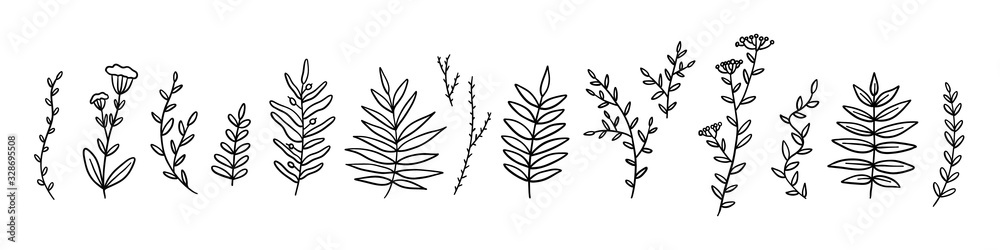 Set of hand drawn line twigs. Stock vector illustration isolated. Set of hand drawn line twigs. Stock vector illustration isolated.