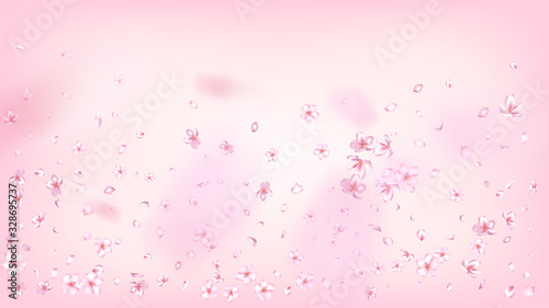 Nice Sakura Blossom Isolated Vector. Realistic Blowing 3d Petals Wedding Frame. Japanese Blurred Flowers Wallpaper. Valentine, Mother's Day Beautiful Nice Sakura Blossom Isolated on Rose
