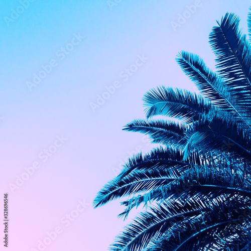 Background of palm leaves toned. Tropical background with copy space colored classic blue. Trendy color 2020.