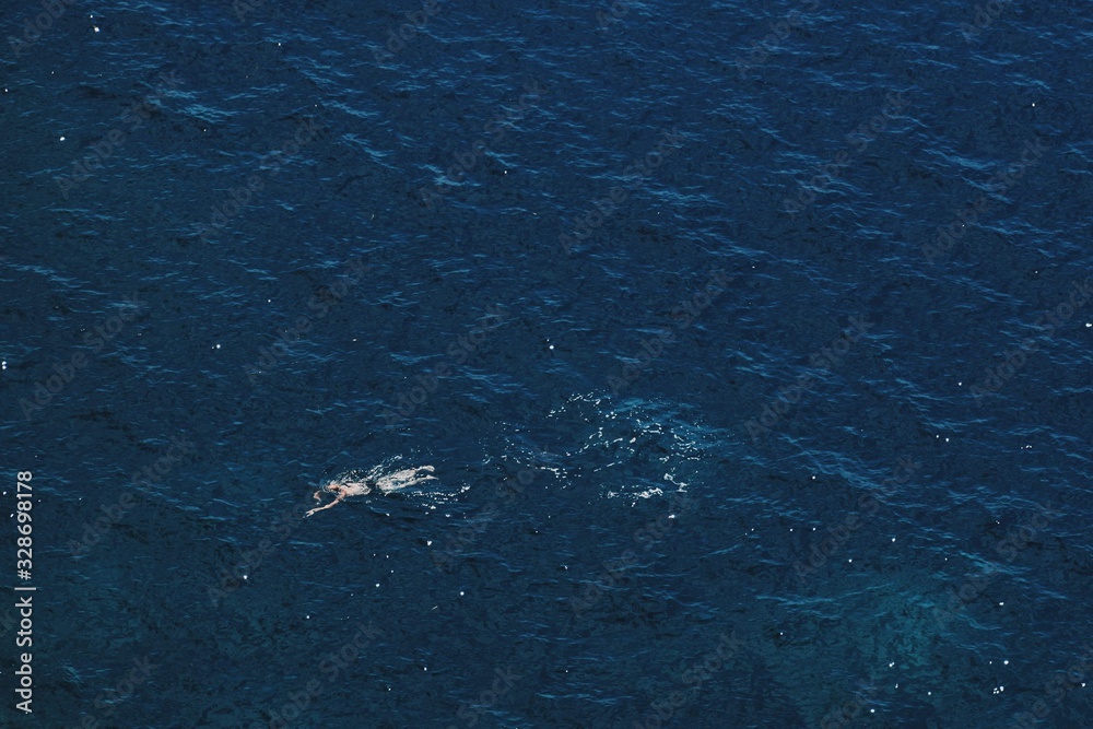 Fototapeta premium Swimming in the sea