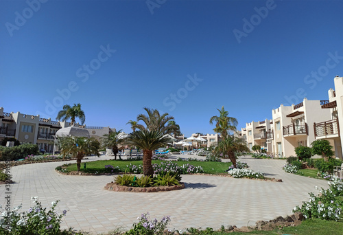 The hotel territory in the sea resort. Well-groomed lawns and palm trees under the bright midday sun