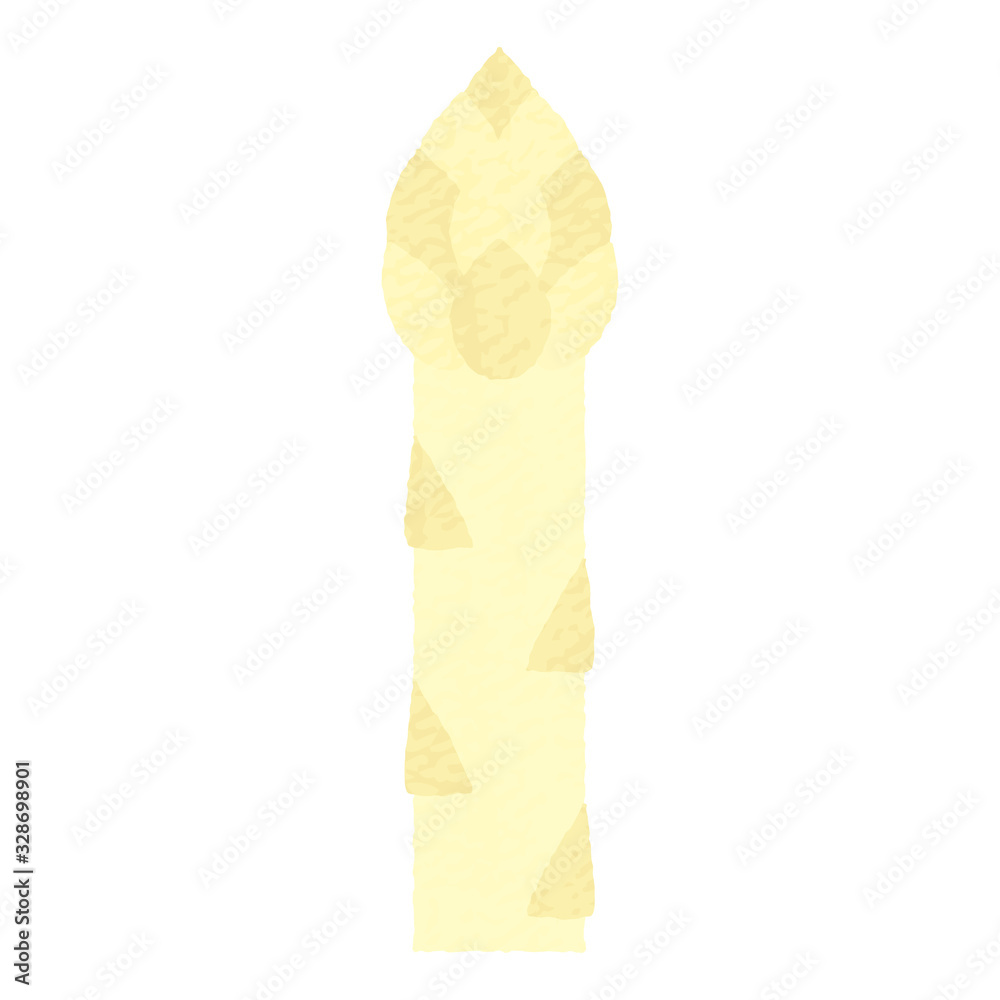 手描き風かわいいホワイトアスパラガス-White asparagus