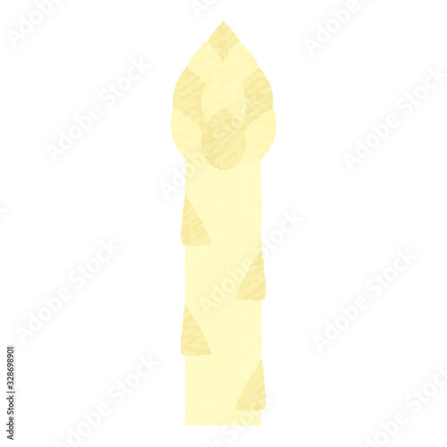 手描き風かわいいホワイトアスパラガス-White asparagus