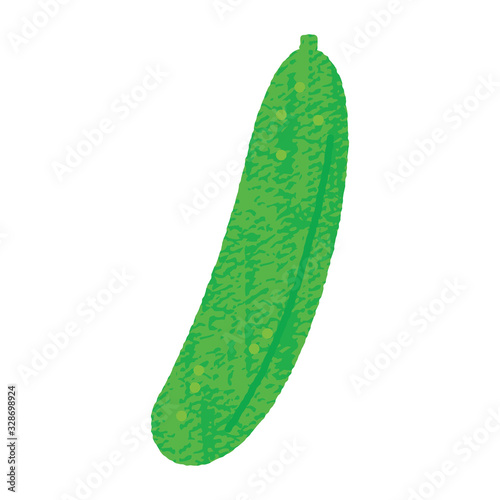 手描き風かわいいきゅうり- cucumber  vector art