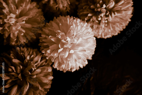 Beautiful abstract color black and yellow flowers on black background and gold flower frame and brown leaves texture, dark background, orange and gold love banner