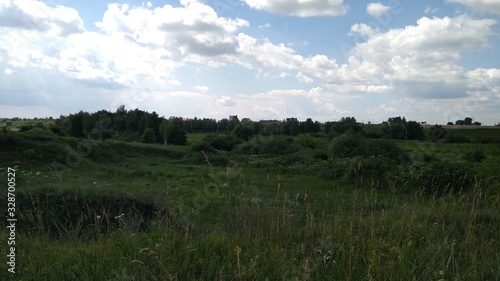 green field and blue sky