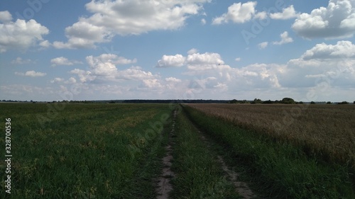 rural road in the field