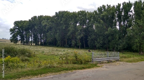 road in the countryside