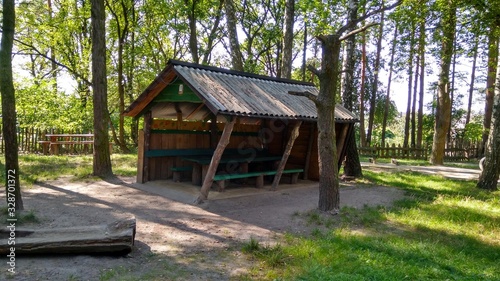 old wooden house in the forest