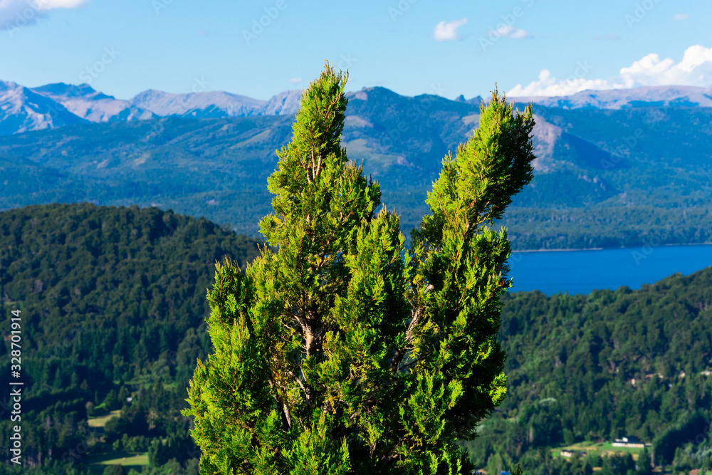 Tree branches with the Nahuel Huapi Lake and the mountains in the Background. Bariloche, Argentina