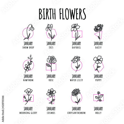 Birth flower hand drawn, Decorative elements for design