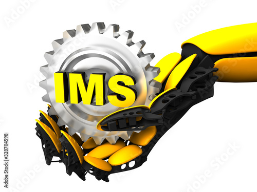 IMS acronym (Intelligent maintenance system)