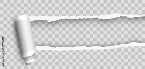 Realistic blank curled tear paper. Torn paper edge. Realistic torn paper with rollled edge. Ripped paper - stock vector.