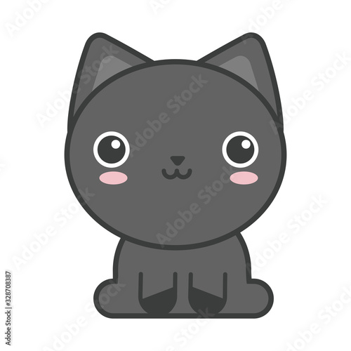 cute cat on white background, feline domestic