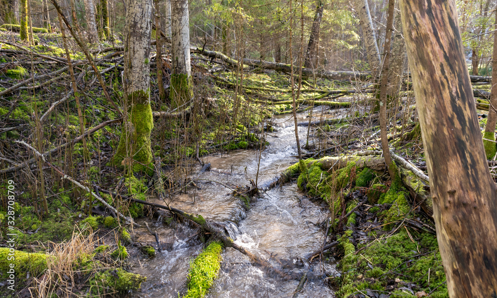 landscape with small and wild river landscape with small and wild river