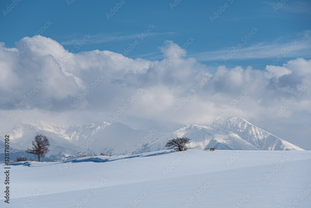 Fototapeta premium 雪山のある風景