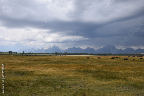 Yellowstone Landschaft