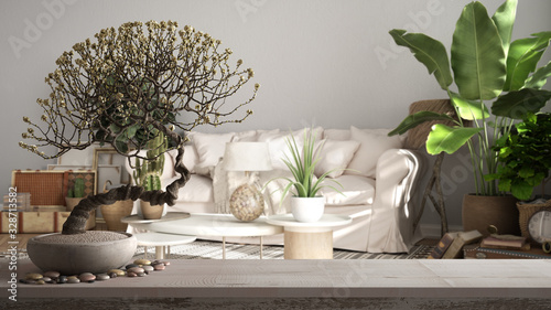 Wallpaper Mural Vintage wooden table shelf with pebble and potted bloom bonsai, white flowers, over living room, sofa, carpet, and pillows, interior design, zen clean architecture concept idea Torontodigital.ca