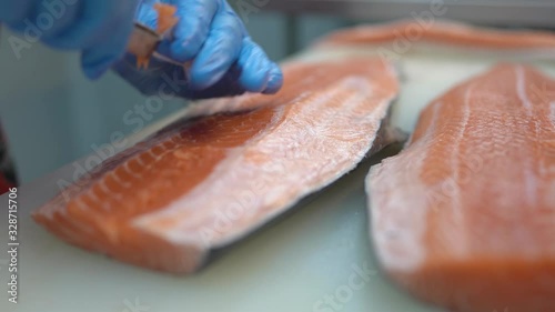 Scene of the man wearing blue glove use tweezers working on removing salmon fishbone, One of process preparation before slide salmon meat to be sashimi or steak and serve on the dish.