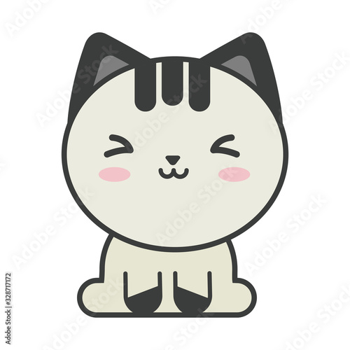 cute cat on white background, feline domestic