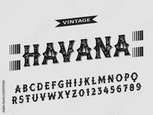 Font alphabet Script Typeface handcrafted handwritten vector label design old style. vintage Hand Drawn.Retro Typography.Vector Illustration.name show