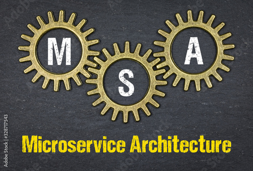 MSA Microservice Architecture photo