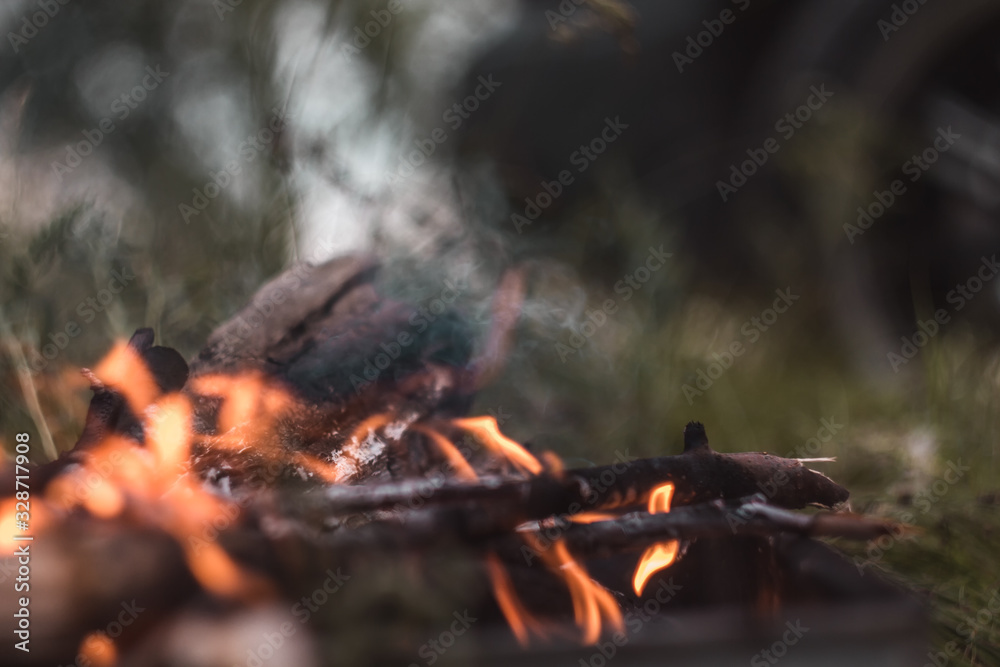 sticks burn in a fire in nature sticks burn in a fire in nature
