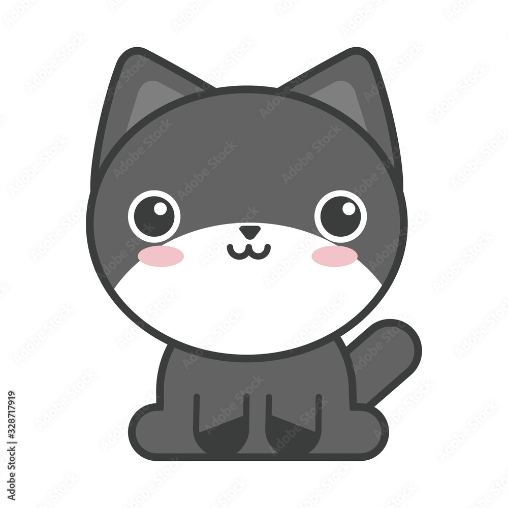 cute cat on white background, feline domestic cute cat on white background, feline domestic