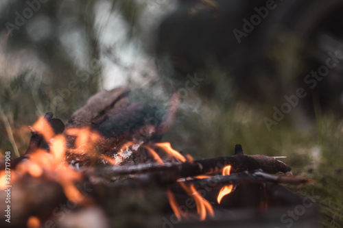 sticks burn in a fire in nature