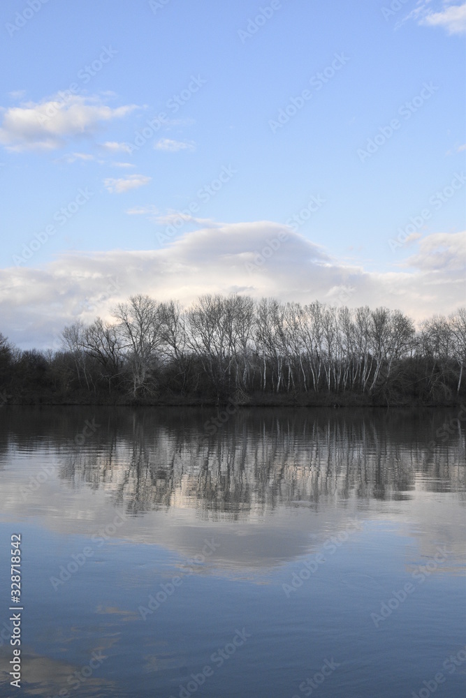 river and the group of birch trees river and the group of birch trees