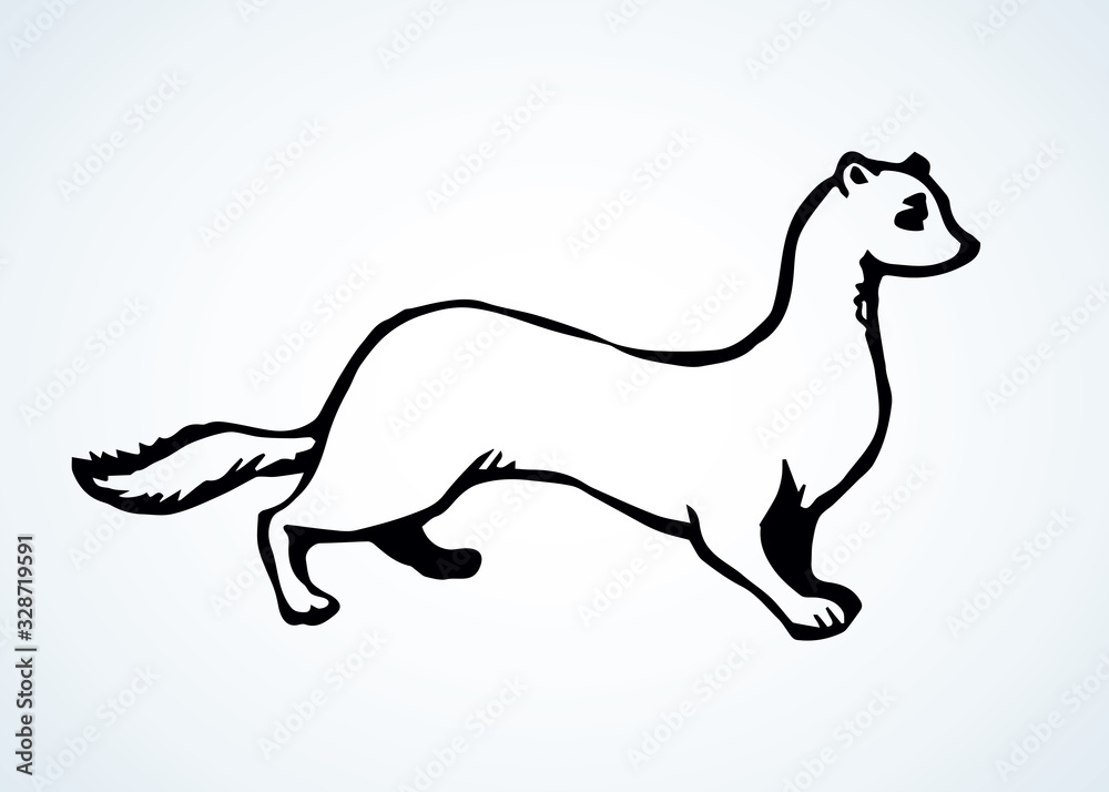 Least weasel. Vector drawing icon