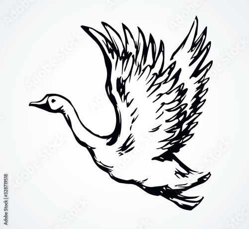 Goose in flight. Vector drawing