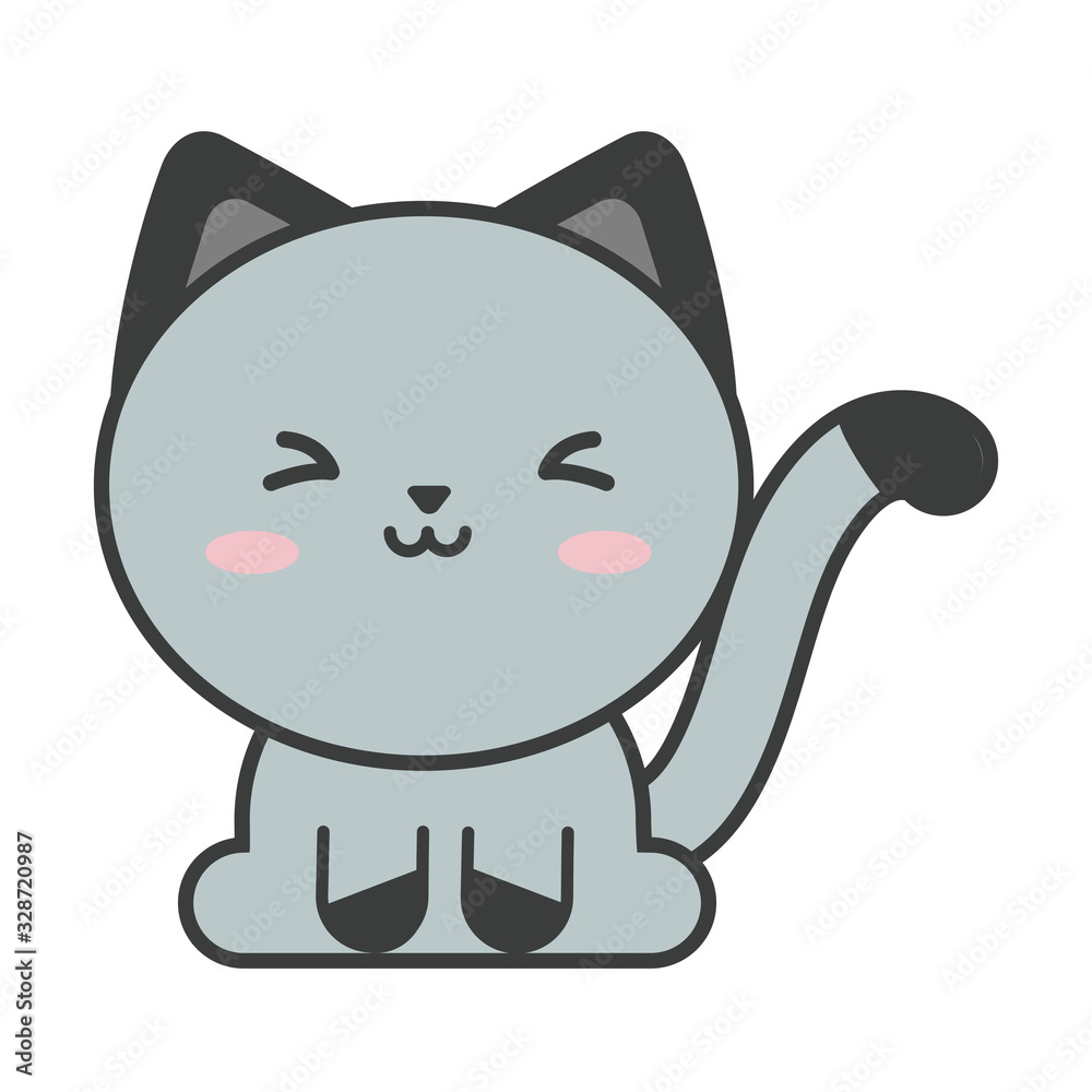 cute cat on white background, feline domestic cute cat on white background, feline domestic