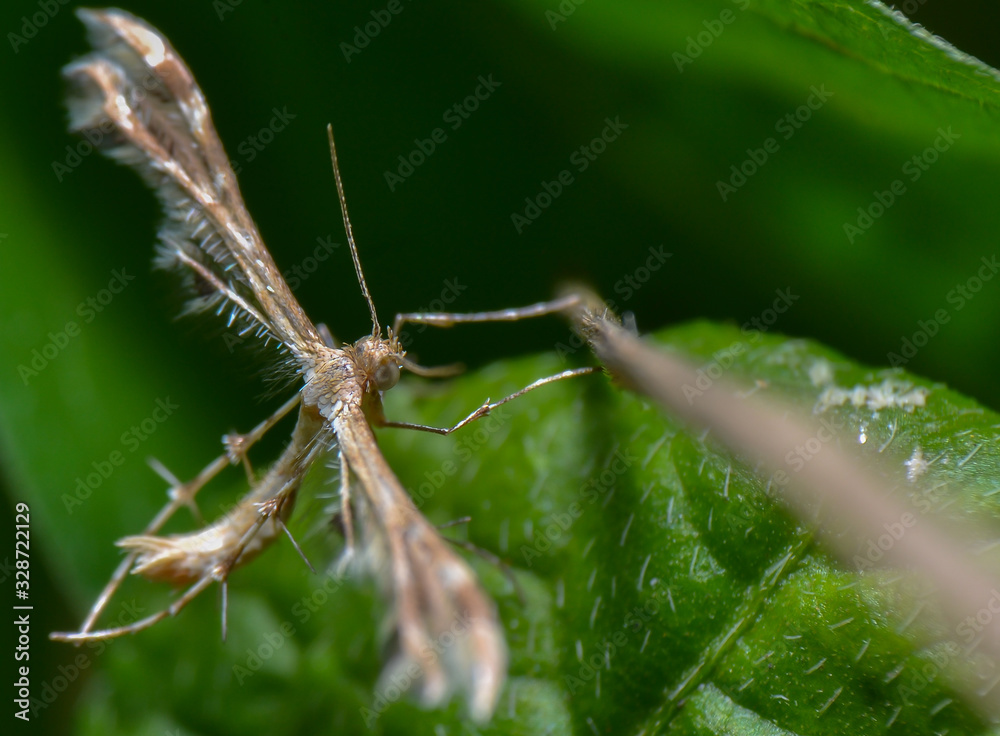 reverse macro photography reverse macro photography